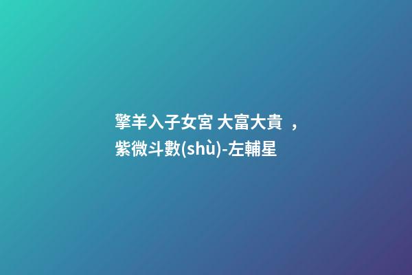 擎羊入子女宮 大富大貴，紫微斗數(shù)-左輔星